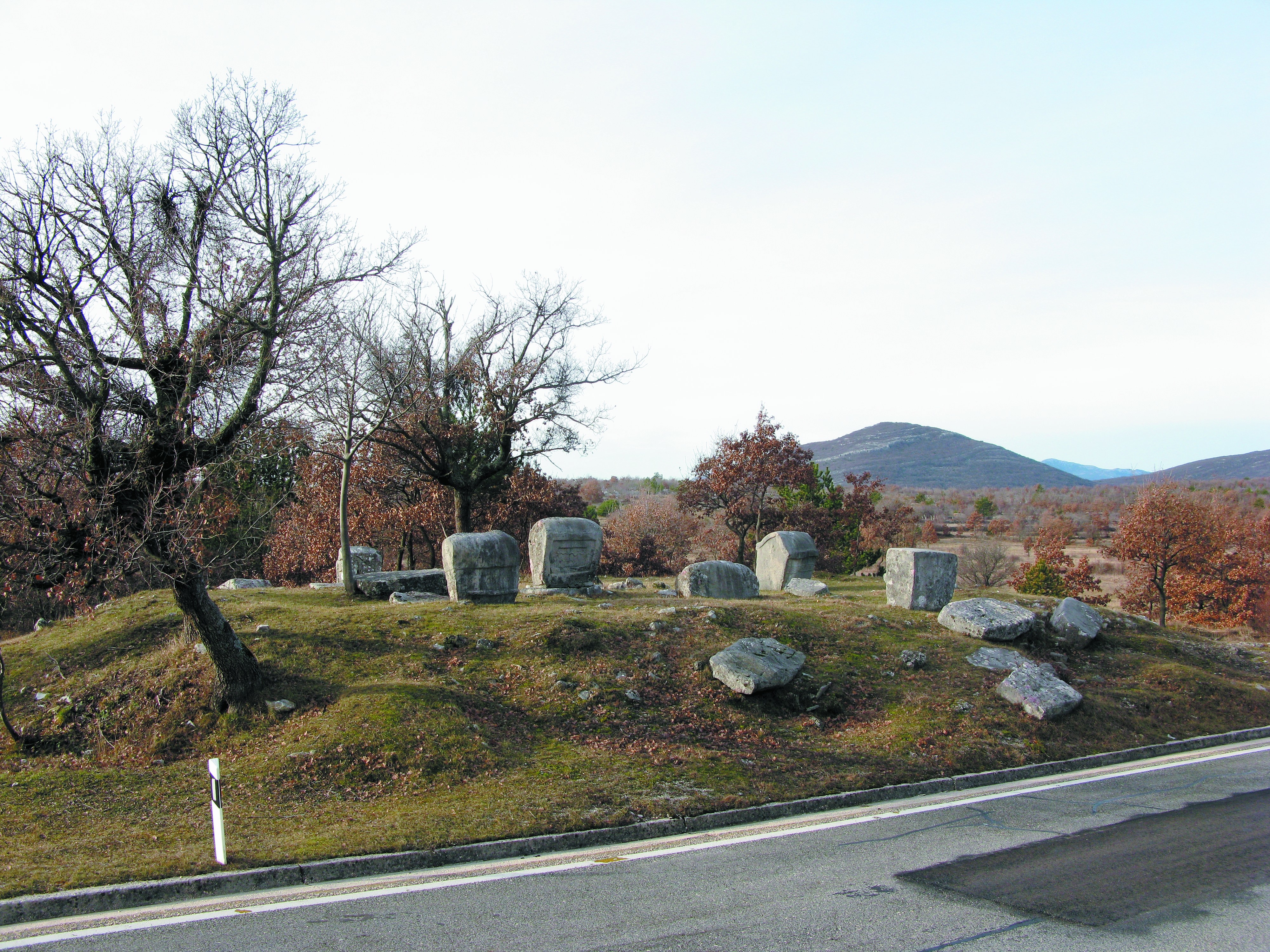 Crljivica